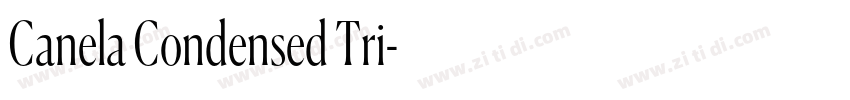 Canela Condensed Tri字体转换